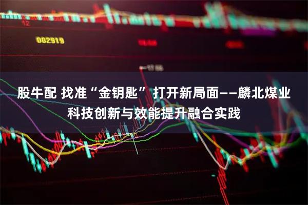 股牛配 找准“金钥匙” 打开新局面——麟北煤业科技创新与效能提升融合实践